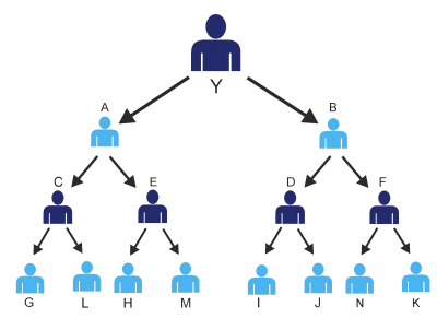 Binary MLM Software Development